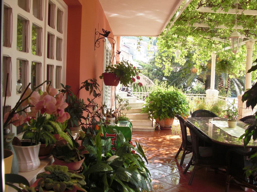 Hotel House Jelena Mlini Exterior foto